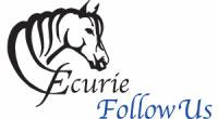 Logo Follow Us Vectorisé Logo Follow Us Vectorisé